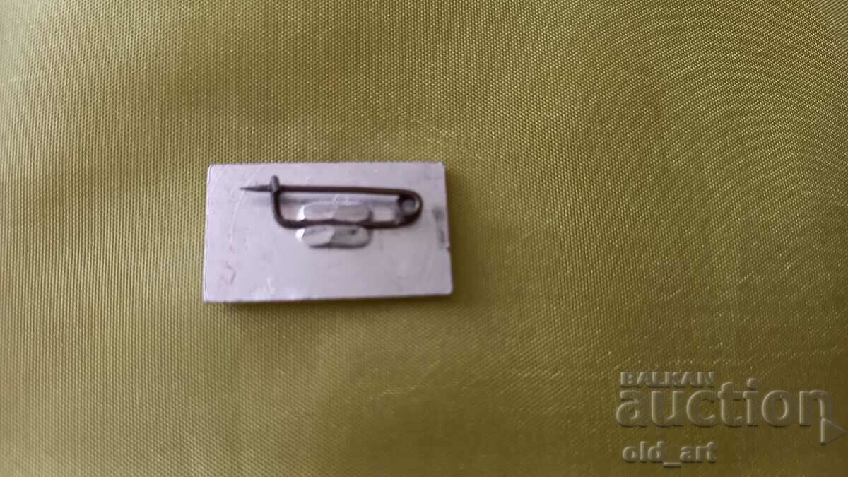 Badge - Russia, Guerrilla Camp "Tehran" with price 0.80 BGN | € 0.41