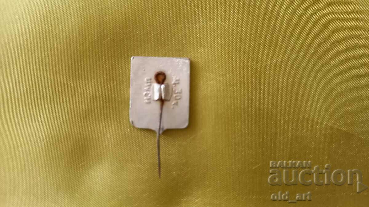 Badge - Russia, Irkutsk with price 0.50 BGN | € 0.26