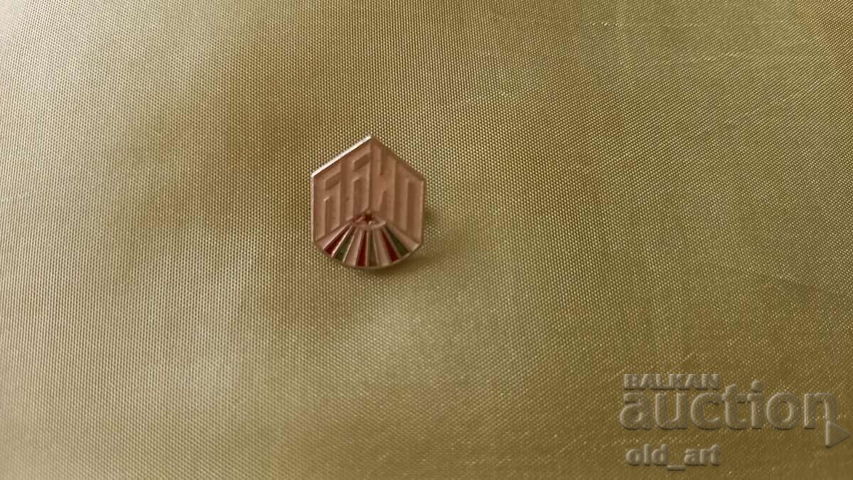Badge - Russia