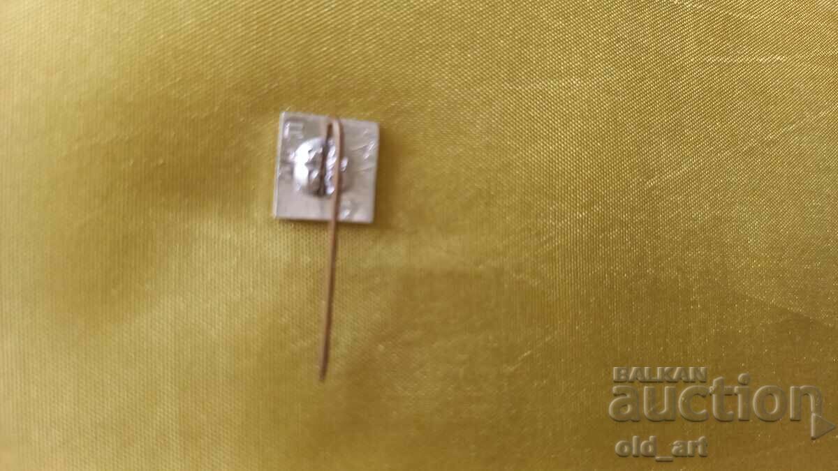 Badge with price € 0.25 | 0.49 BGN