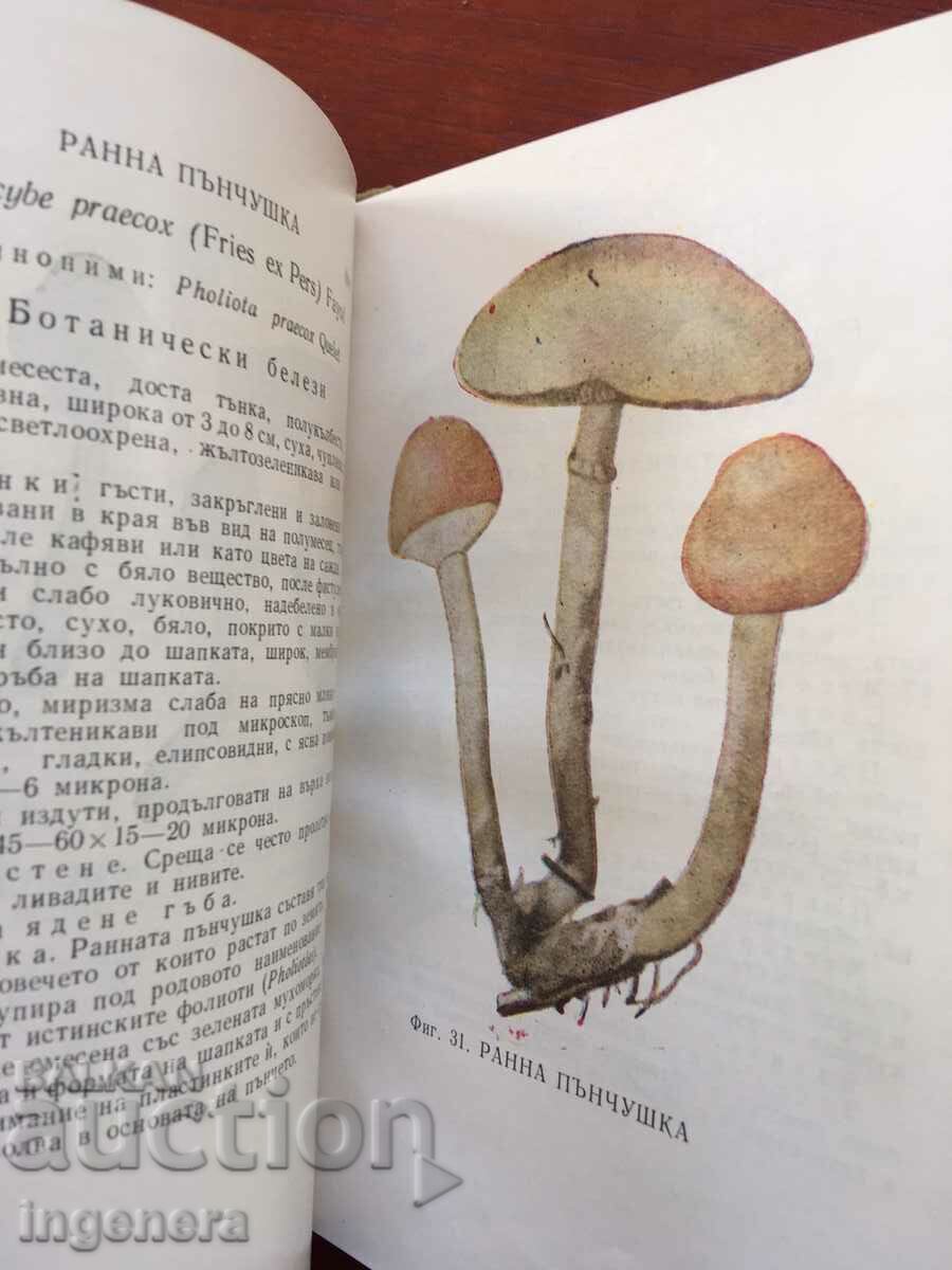 Delivery of BOOK-DIMITAR GRUEV-FOR THE MUSHROOMS-1964 WITH A DEDICATION BY THE AUTHOR Delivery of BOOK-DIMITAR GRUEV-FOR THE MUSHROOMS-1964 WITH A DEDICATION BY THE AUTHOR