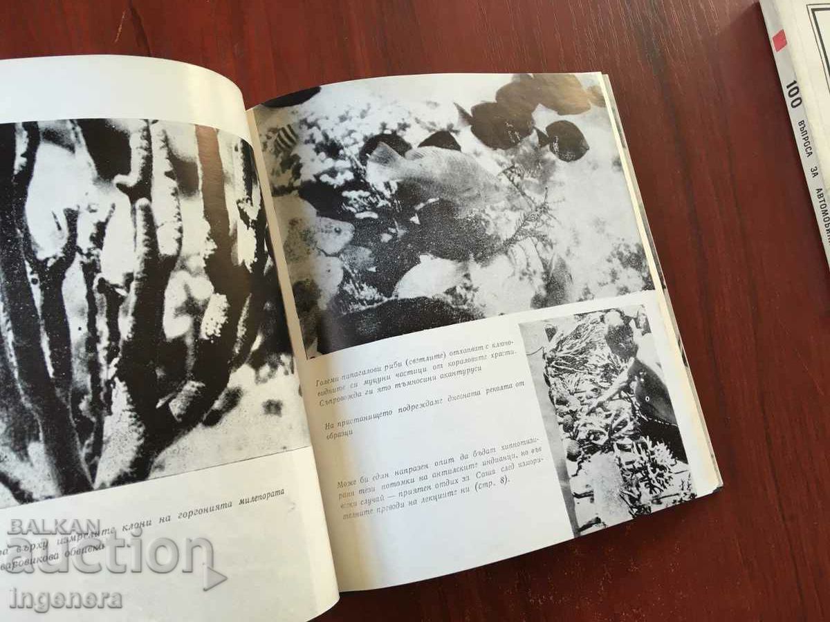 Аукцион КНИГА-Е.БАЛОН,ЯН СЕНЕН-ЕКСПЕДИЦИЯ КАЙРО ЛАРГО-1971 Аукцион КНИГА-Е.БАЛОН,ЯН СЕНЕН-ЕКСПЕДИЦИЯ КАЙРО ЛАРГО-1971