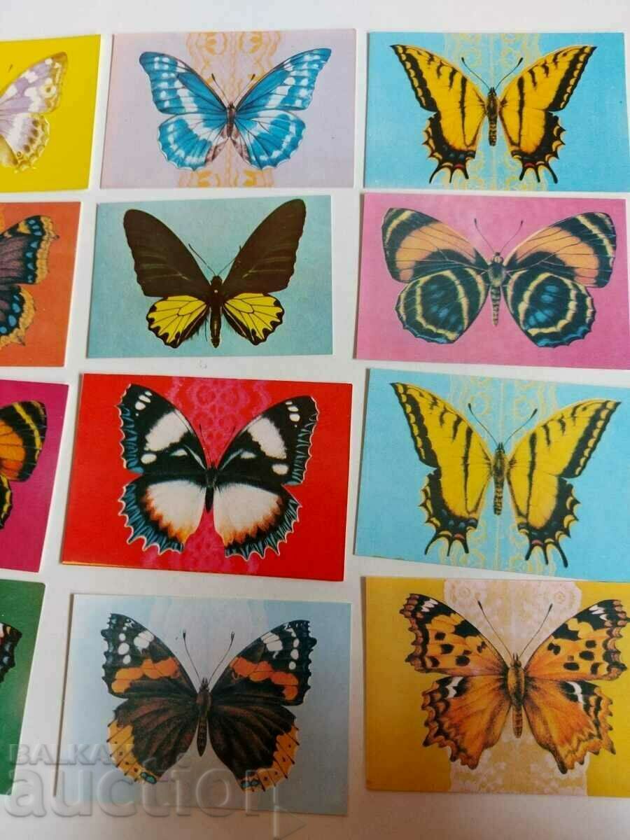 1985 BUTTERFLIES BUTTERFLY SERIES SOC CALENDARS CALENDAR LOT with price 19.00 BGN | € 9.71 1985 BUTTERFLIES BUTTERFLY SERIES SOC CALENDARS CALENDAR LOT with price 19.00 BGN | € 9.71