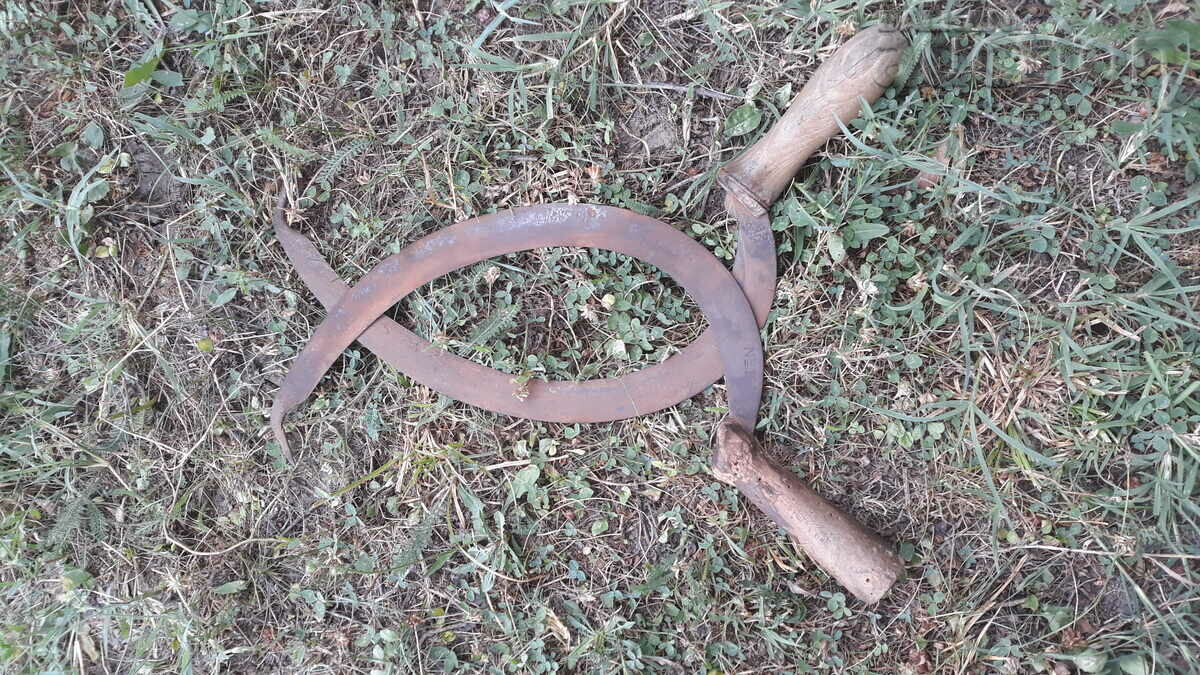 Delivery of two antique sickles one marked AUSTRIA Delivery of two antique sickles one marked AUSTRIA