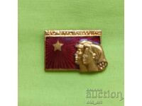 Badge - For communist labor