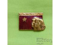 Insigna - Pentru Munca Comunistă