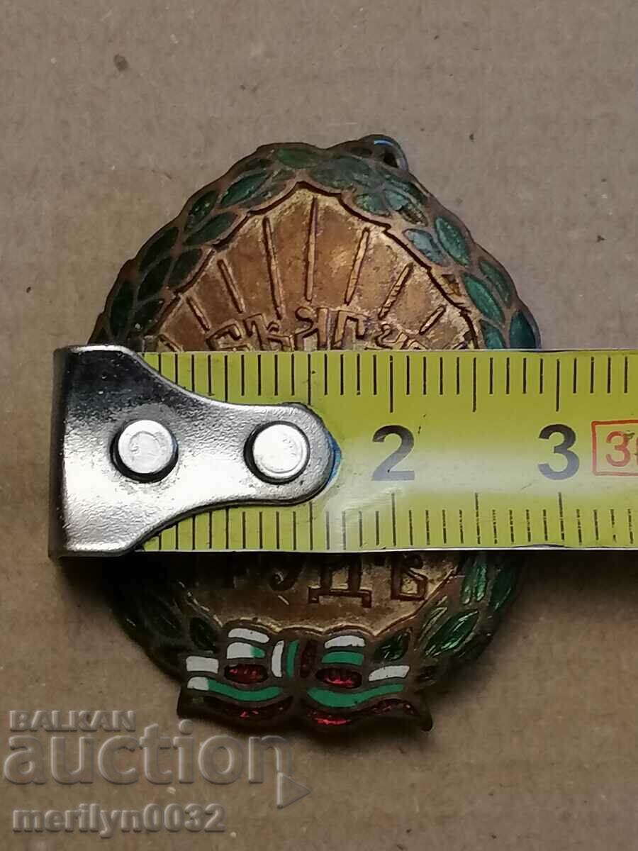 Chest badge WORK FOR BULGARIA Tsar Boris III medal badge - 5 Chest badge WORK FOR BULGARIA Tsar Boris III medal badge - 5