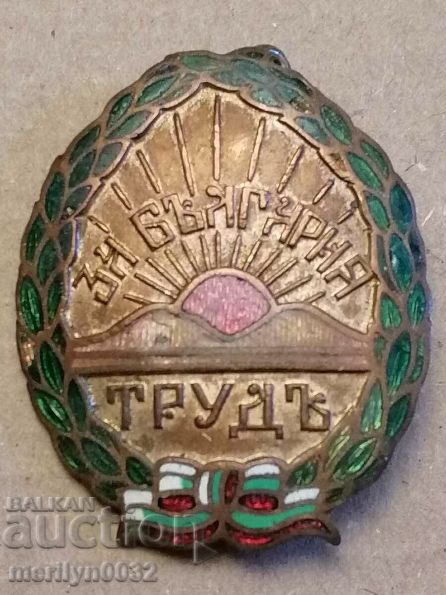 Chest badge WORK FOR BULGARIA Tsar Boris III medal badge - 7 Chest badge WORK FOR BULGARIA Tsar Boris III medal badge - 7