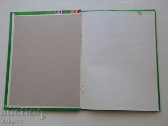 Auction  comic album "La 3e vie de Rahan" from 1987; Rahan