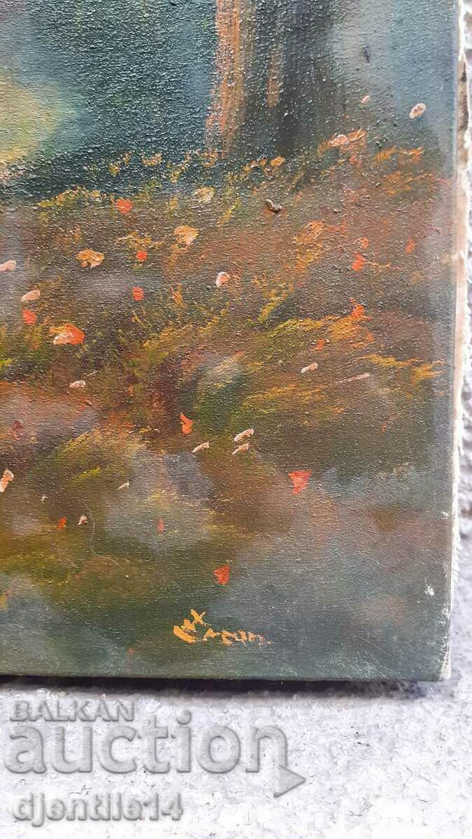 ζωγραφική, λάδι σε καμβά με τιμή 250.00 BGN | € 127.82 ζωγραφική, λάδι σε καμβά με τιμή 250.00 BGN | € 127.82