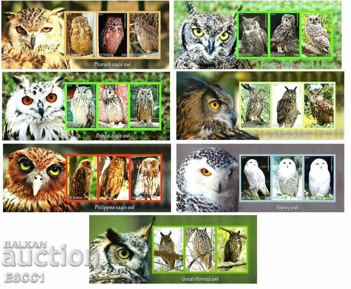 Clean Blocks Fauna Birds Owls 2010 από το Τόνγκο