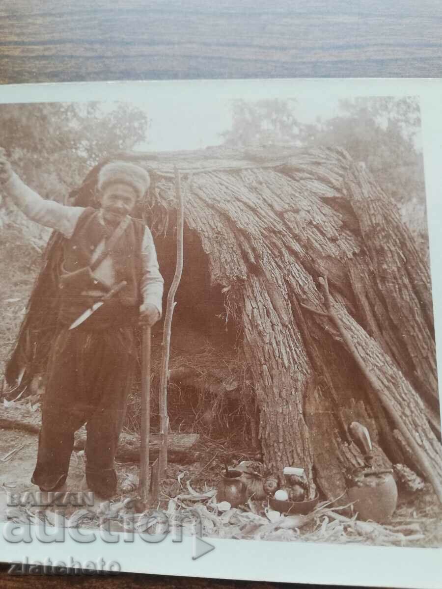 Delivery of Old photo - old shepherd Delivery of Old photo - old shepherd