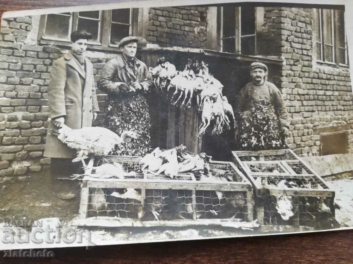 Auction Old photo - Auction Old photo -