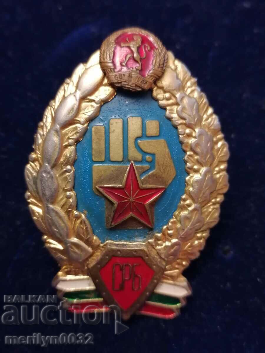 Badge Specialized Hand-to-Hand Combat NRB