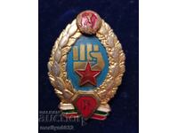 Badge Specialized Hand-to-Hand Combat NRB