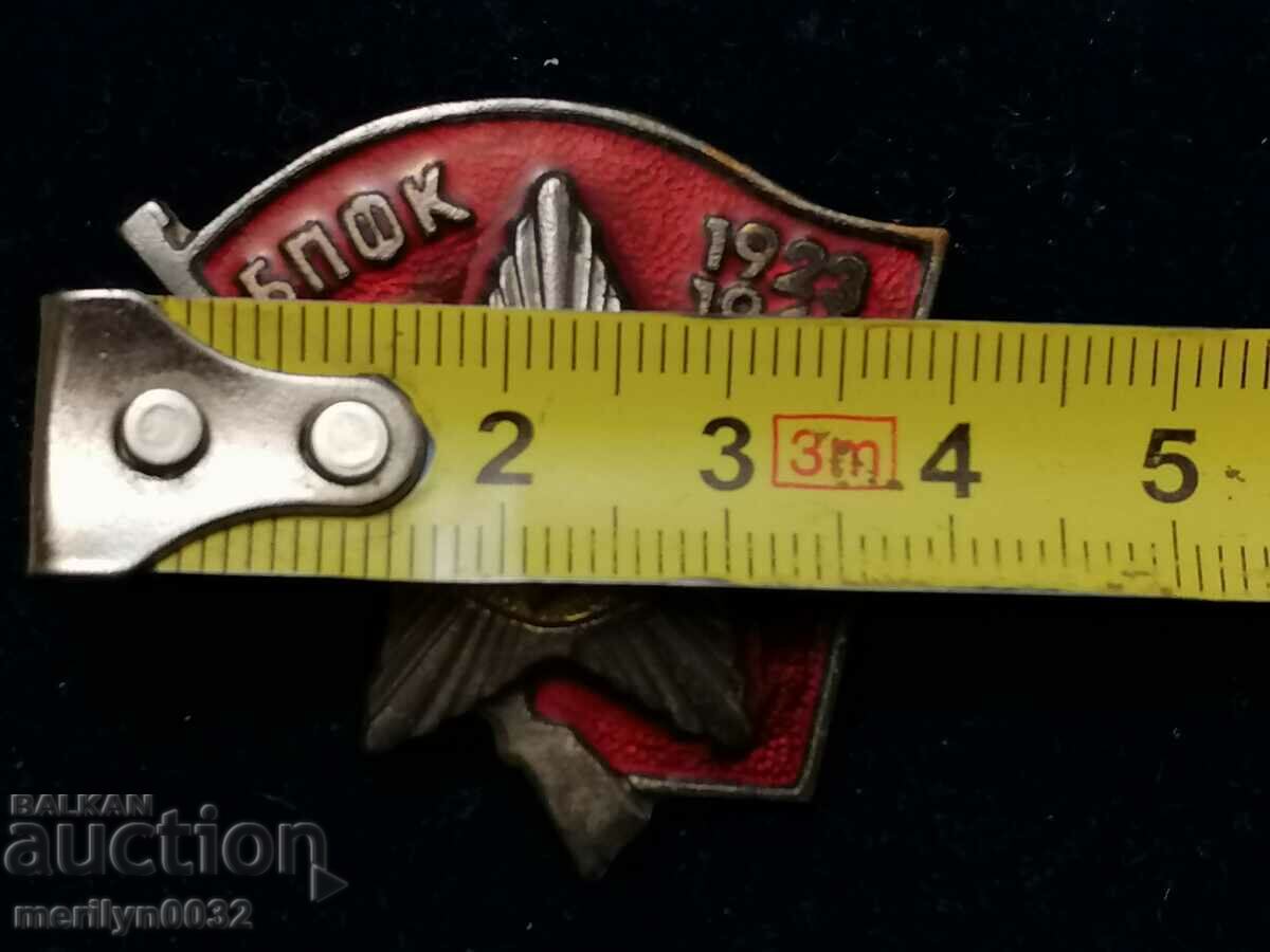 Auction  Badge active fighter against fascism badge