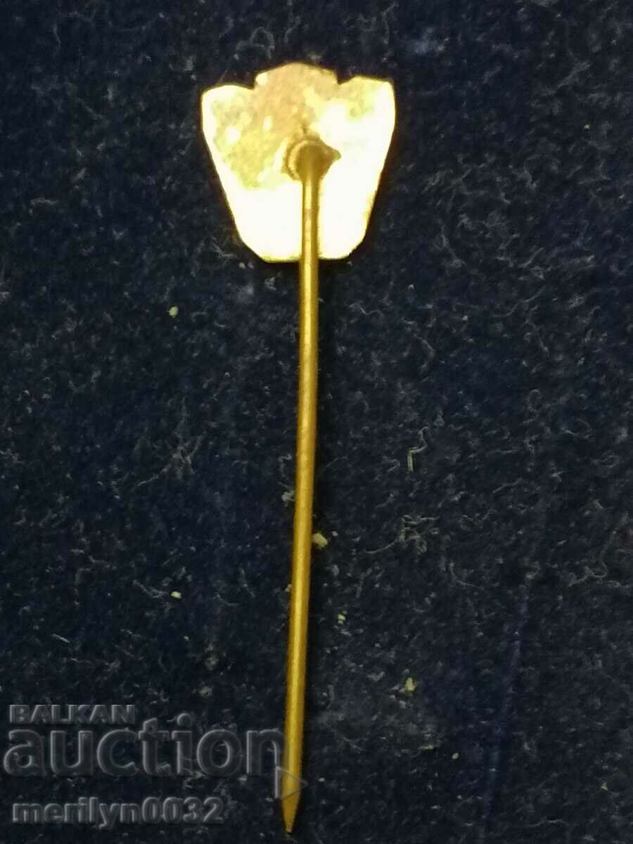 Delivery of Badge badge of football club Beroe Stara Zagora Delivery of Badge badge of football club Beroe Stara Zagora