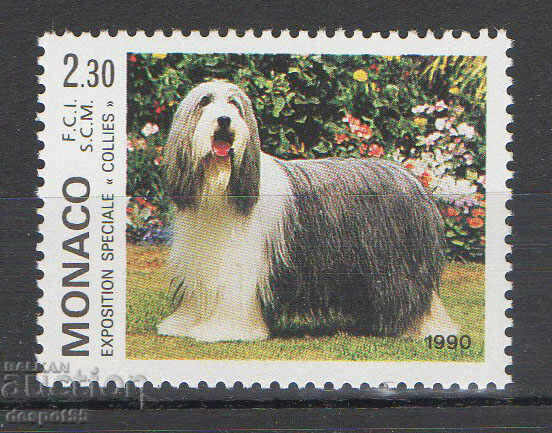 1990. Μονακό. Διεθνής Έκθεση Σκύλων, Μόντε Κάρλο.