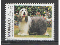 1990. Monaco. International Dog Show, Monte Carlo.