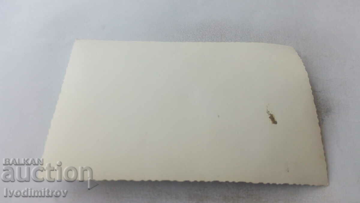 εικόνα Λειτουργός με τιμή 1.65 BGN | € 0.84 εικόνα Λειτουργός με τιμή 1.65 BGN | € 0.84