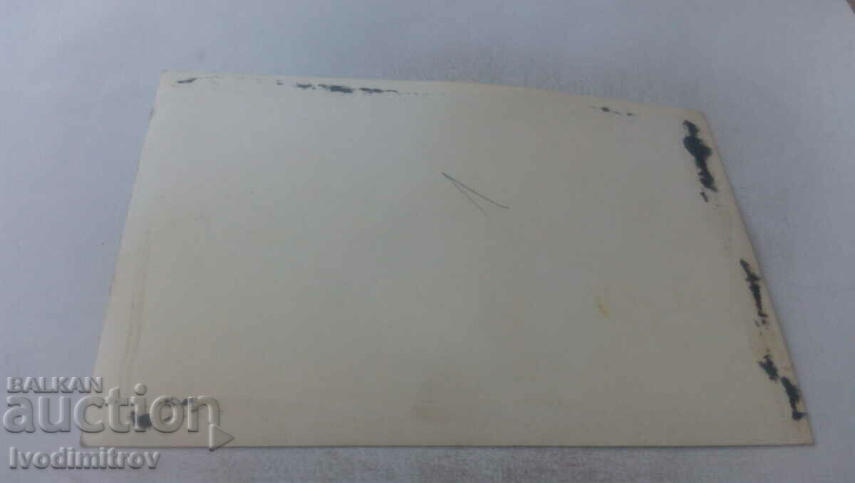 Снимка Младоженци с цена € 0.69 | 1.35 лв.