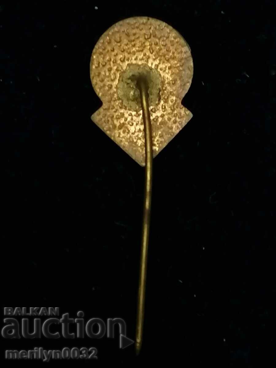 Auction  Badge sports badge Sports Complex DIANA