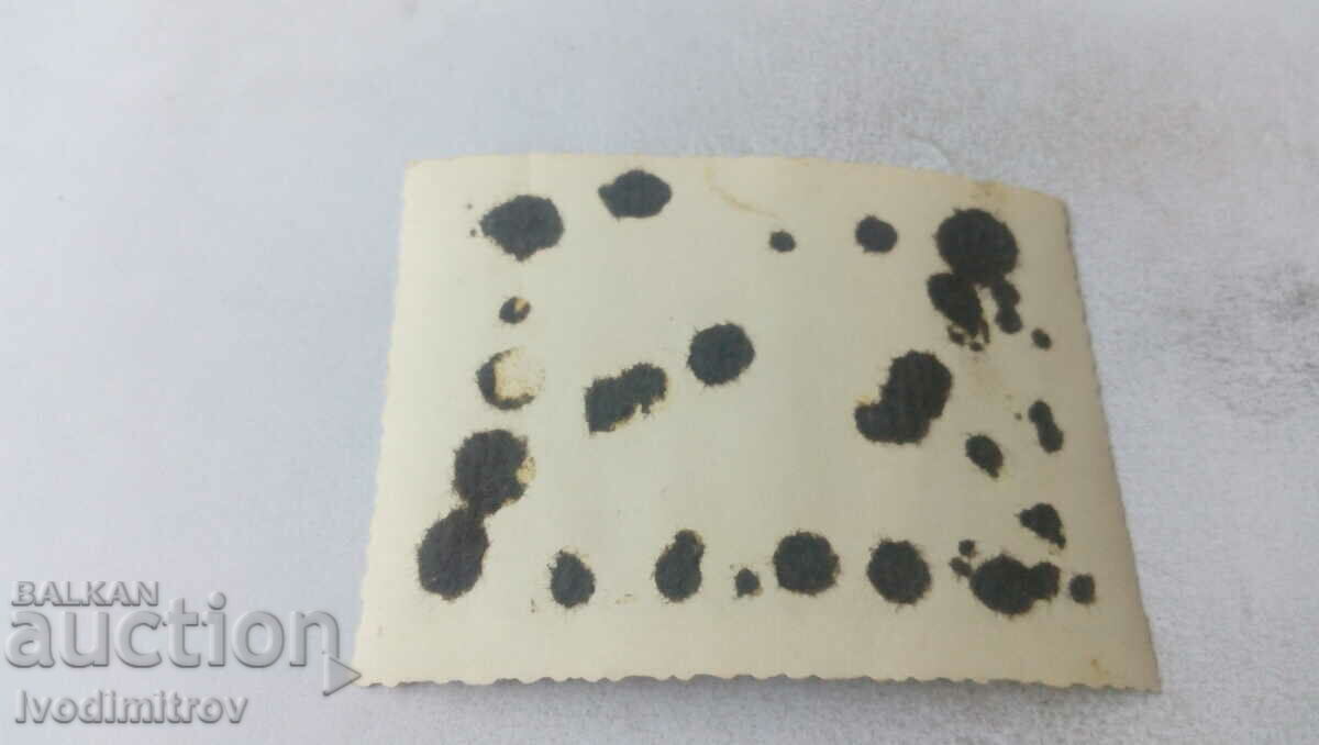 Photo Soldiers with horses on the meadow with price 1.65 BGN | € 0.84 Photo Soldiers with horses on the meadow with price 1.65 BGN | € 0.84