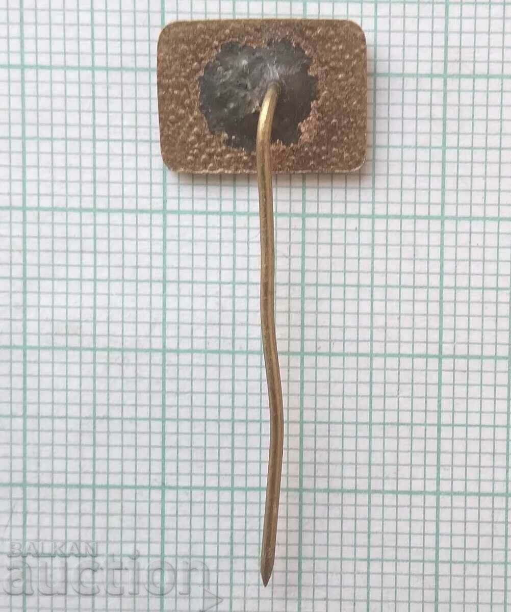 11397 Badge - Electronic components - bronze enamel with price 2.00 BGN | € 1.02 11397 Badge - Electronic components - bronze enamel with price 2.00 BGN | € 1.02