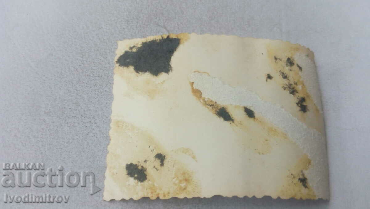 Photo Horo on the village square with price 1.85 BGN | € 0.95 Photo Horo on the village square with price 1.85 BGN | € 0.95