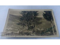 Пощенска картичка Чепеларе Общ изглед