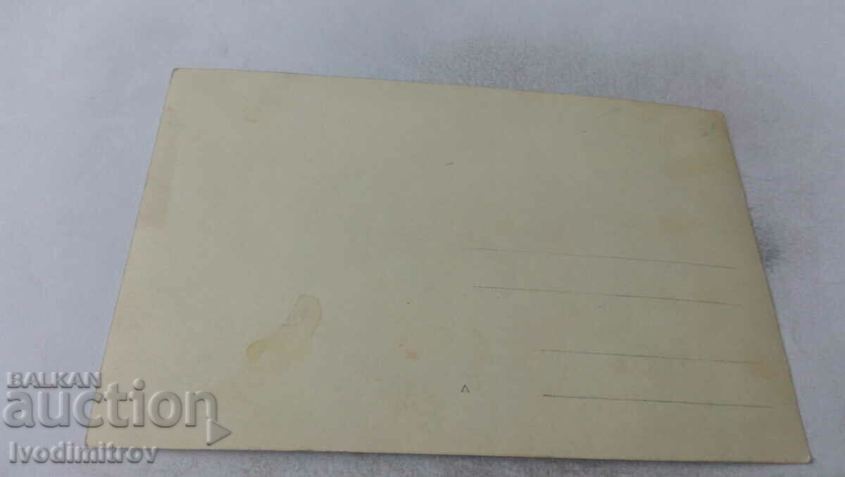 Photo Picnic company in the woods with price 1.65 BGN | € 0.84 Photo Picnic company in the woods with price 1.65 BGN | € 0.84