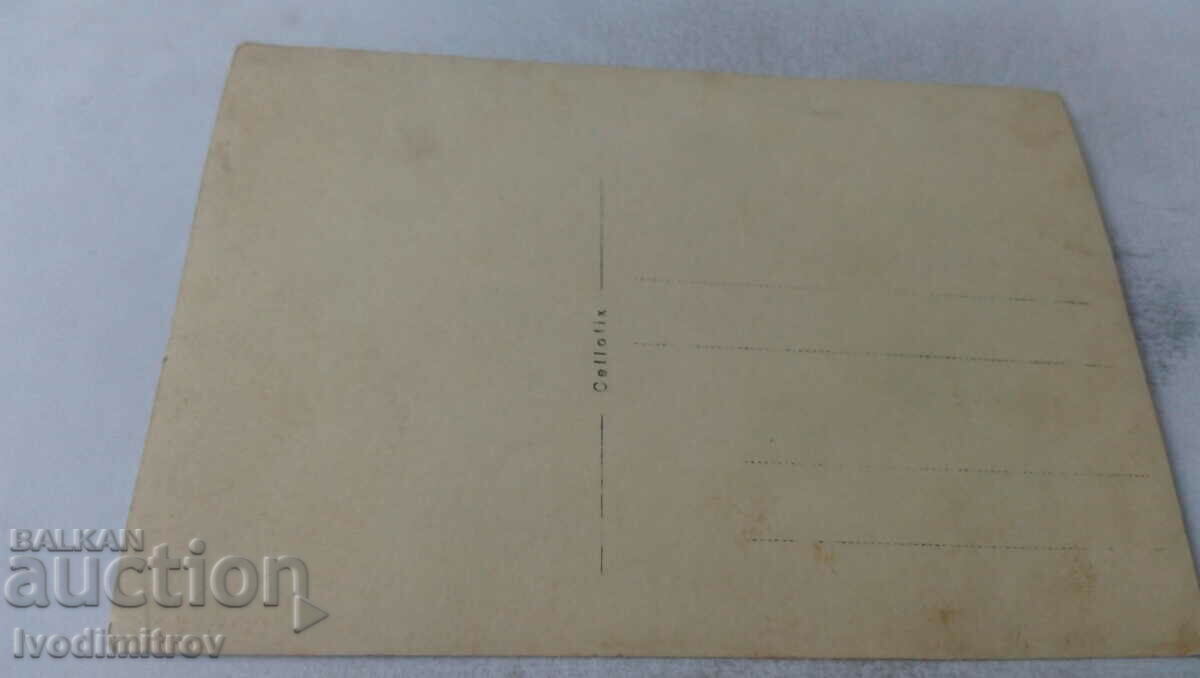 Εικόνα Παιδιά σε μια αιώρα στην αυλή με τιμή 1.65 BGN | € 0.84