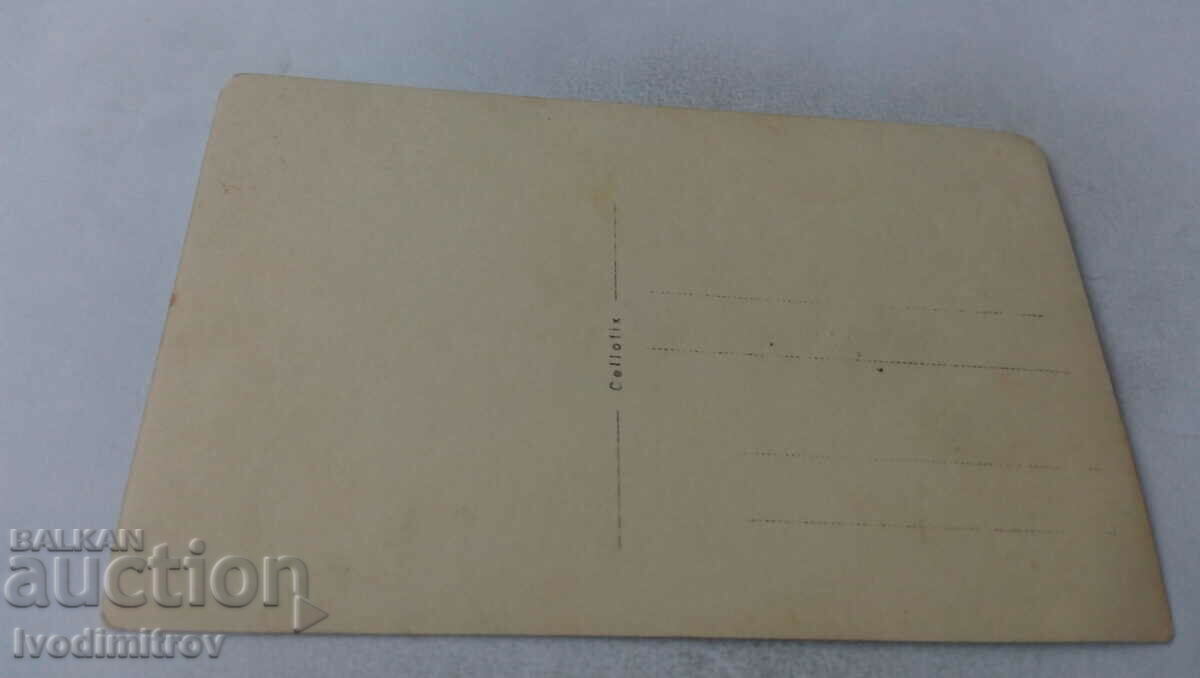 Photo Two men women and children on a picnic with price 1.65 BGN | € 0.84 Photo Two men women and children on a picnic with price 1.65 BGN | € 0.84