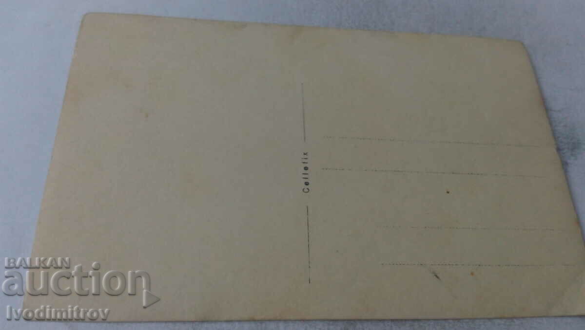 Photo Men women and children on the lawn with price 1.45 BGN | € 0.74 Photo Men women and children on the lawn with price 1.45 BGN | € 0.74