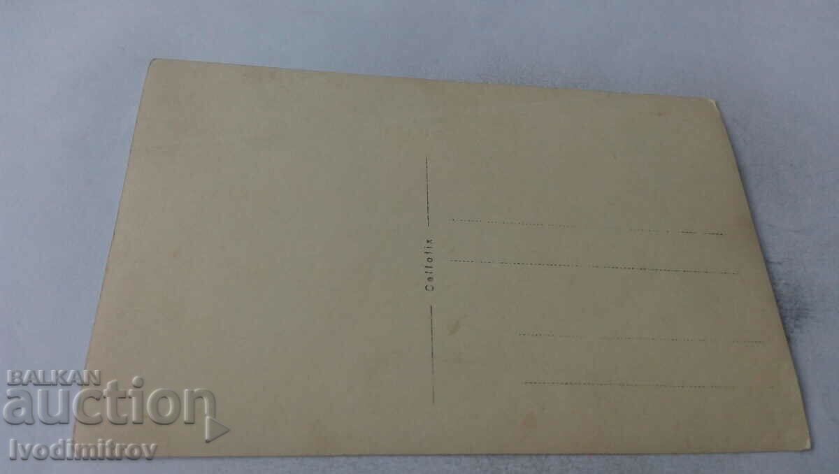 Photo Men women and children around a hammock in the yard with price 1.45 BGN | € 0.74