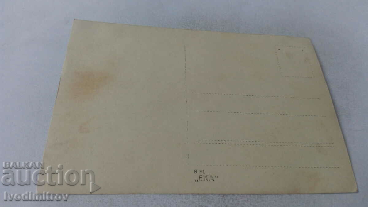 Photo Boys and girls on the lawn with price 1.45 BGN | € 0.74 Photo Boys and girls on the lawn with price 1.45 BGN | € 0.74