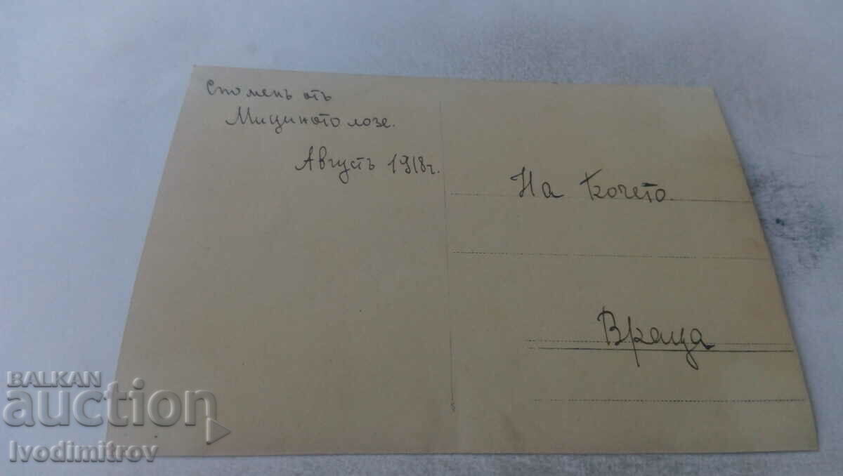 Photo Vratsa Young men and women on the Mitsino vineyard 1917 with price 1.45 BGN | € 0.74