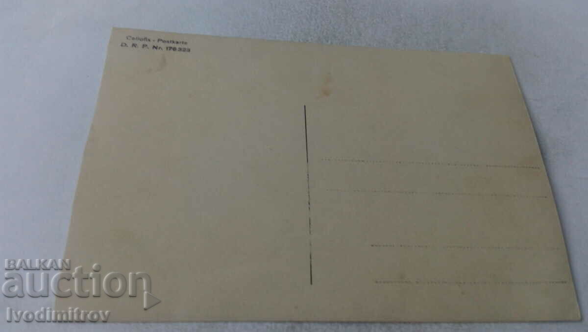 Φωτογραφία Τρεις νεαρές γυναίκες στον θάμνο με τιμή 1.45 BGN | € 0.74 Φωτογραφία Τρεις νεαρές γυναίκες στον θάμνο με τιμή 1.45 BGN | € 0.74