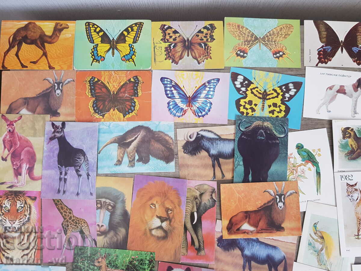 Social calendars with animals with price 50.00 BGN | € 25.56 Social calendars with animals with price 50.00 BGN | € 25.56