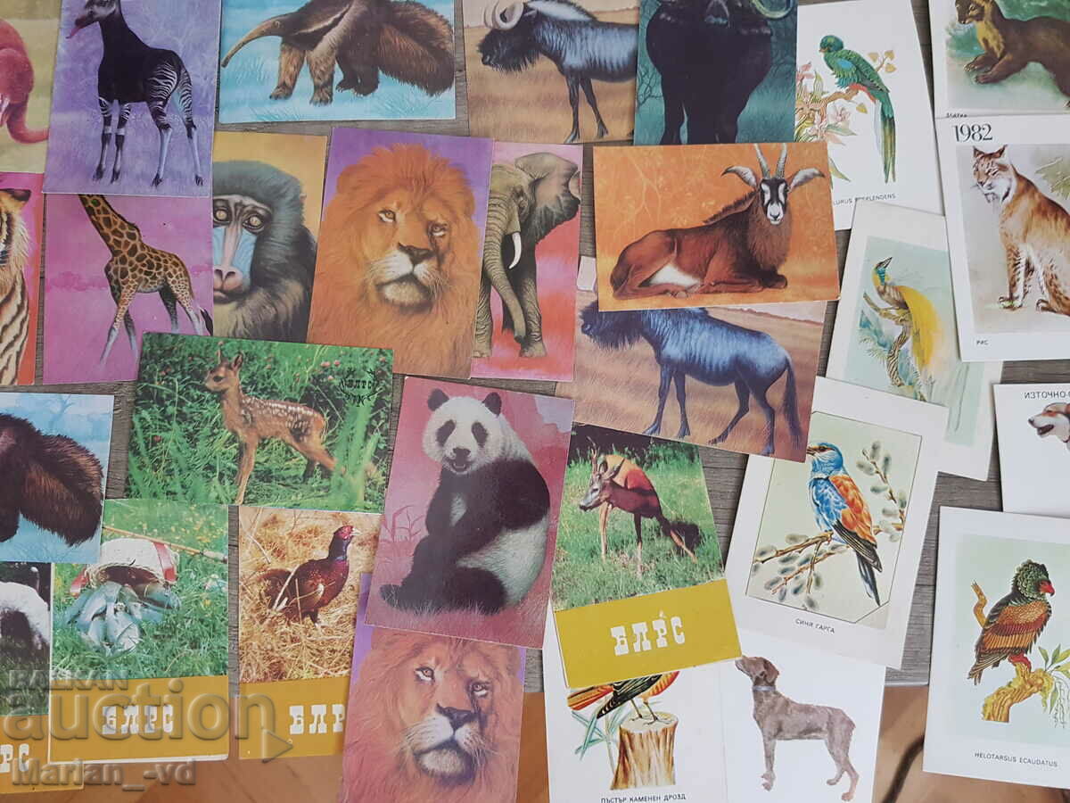 Auction Social calendars with animals Auction Social calendars with animals