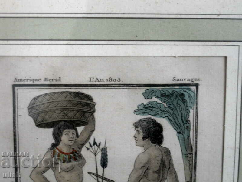 Auction  1805 color lithograph France engraving Sauvages H&F Guyann