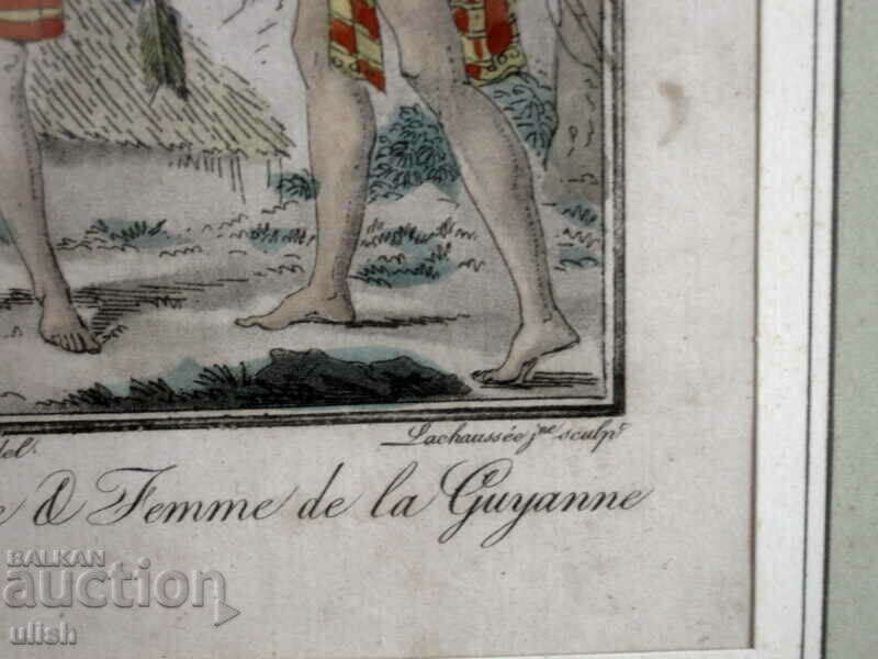 Delivery of 1805 color lithograph France engraving Sauvages H&F Guyann