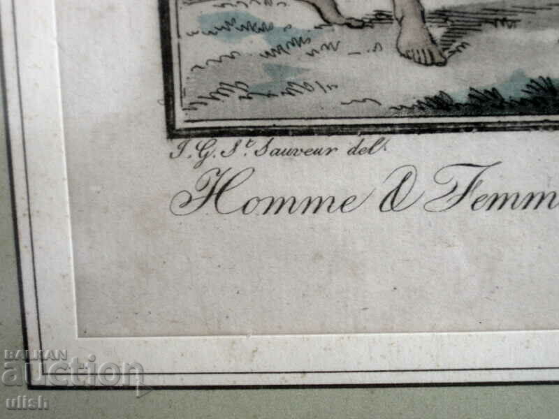 1805 color lithograph France engraving Sauvages H&F Guyann - 5