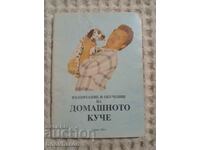 Εκπαίδευση και αγωγή σκύλου