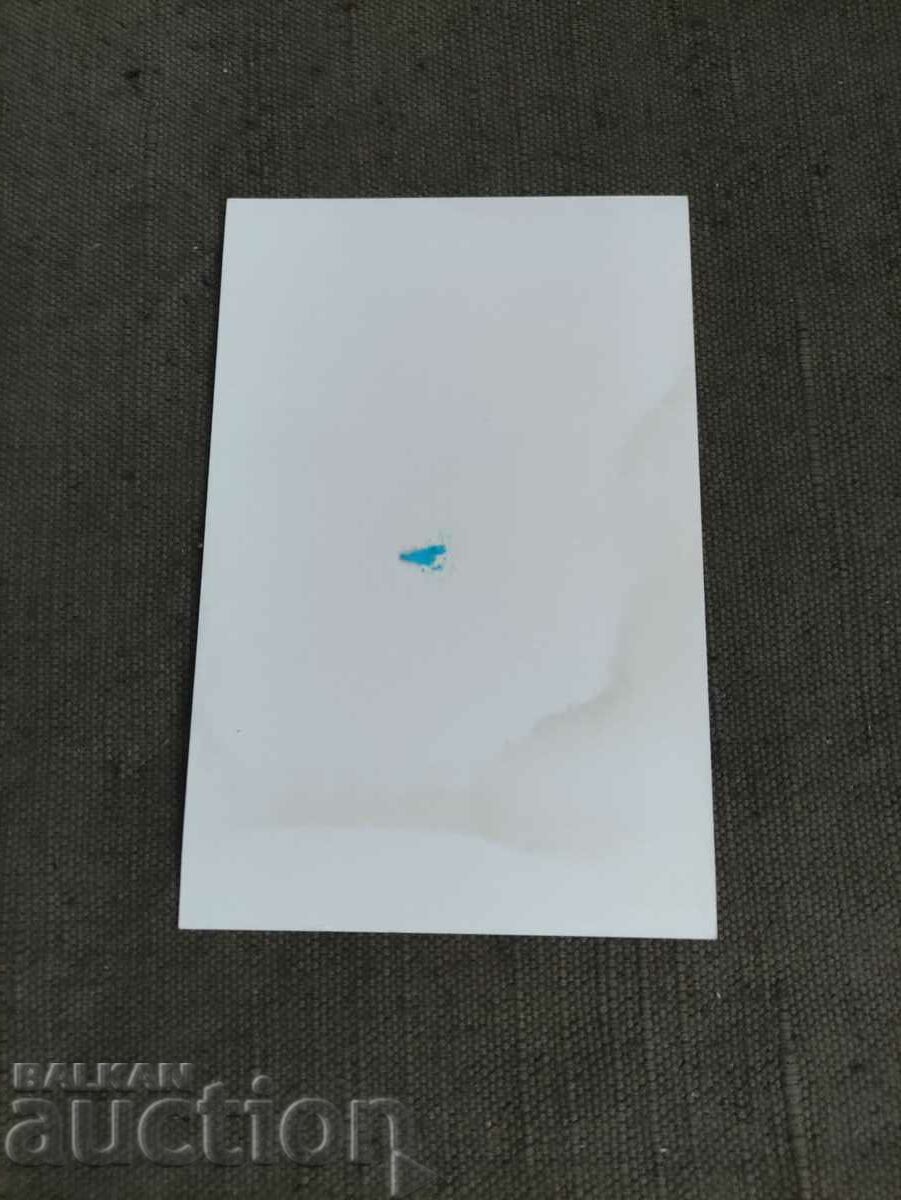 Autograph Blagovest and Svetoslav Argirovi with price 50.00 BGN | € 25.56 Autograph Blagovest and Svetoslav Argirovi with price 50.00 BGN | € 25.56