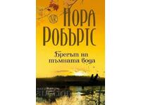 Malul apei întunecate