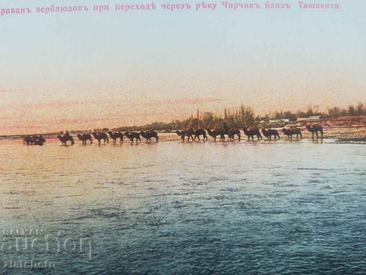 Postcard Русия Сиберия, Алтай с цена 20.00 лв. | € 10.23 Postcard Русия Сиберия, Алтай с цена 20.00 лв. | € 10.23