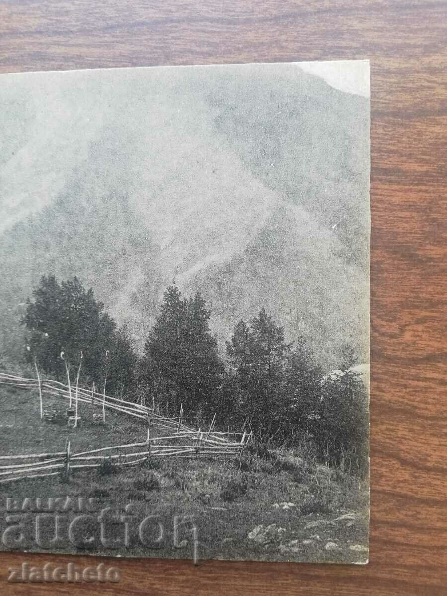 Δημοπρασία Καρτ ποστάλ Ρωσία Σιβηρία, Αλτάι