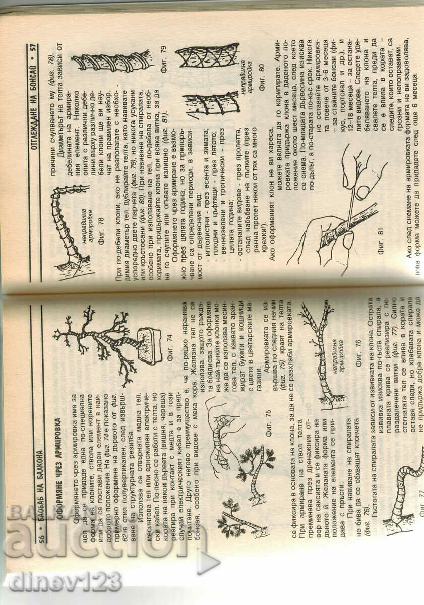 Auction BONSAI - HR. POPOV Auction BONSAI - HR. POPOV