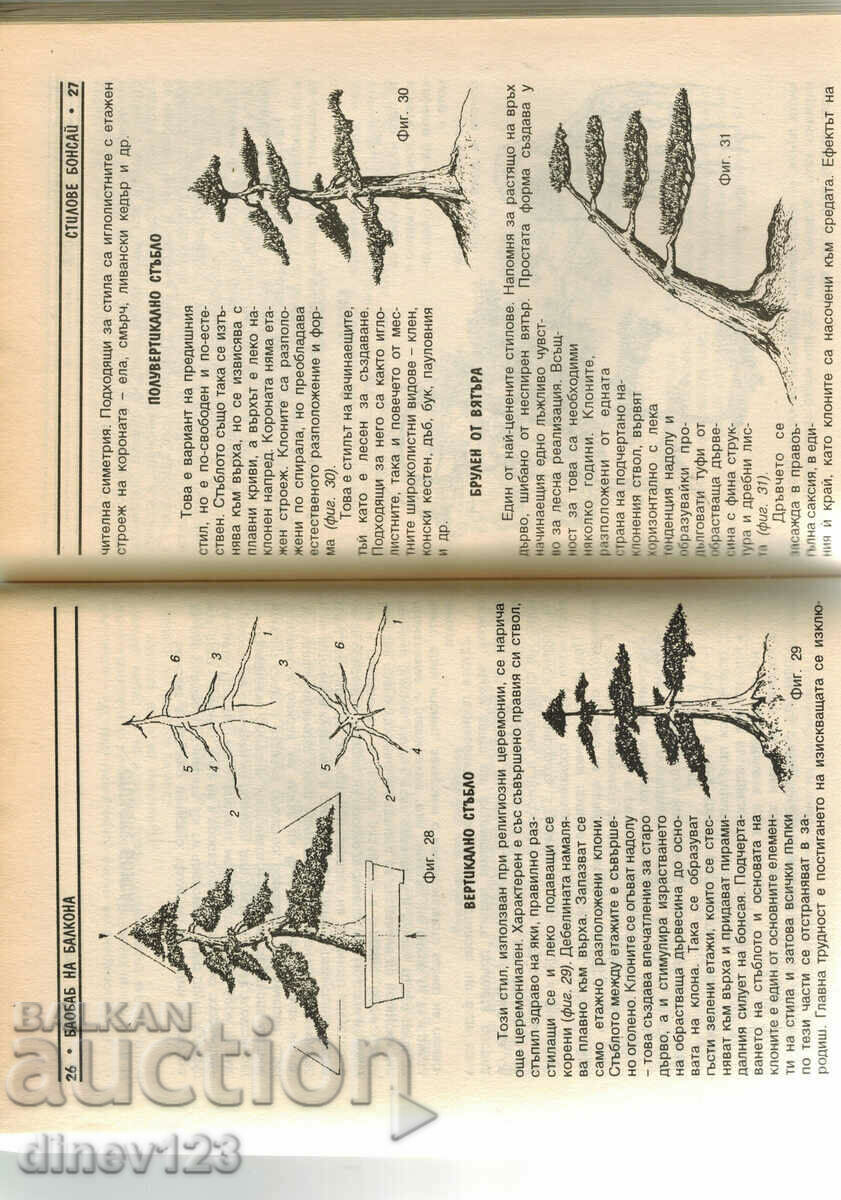 Delivery of BONSAI - HR. POPOV Delivery of BONSAI - HR. POPOV